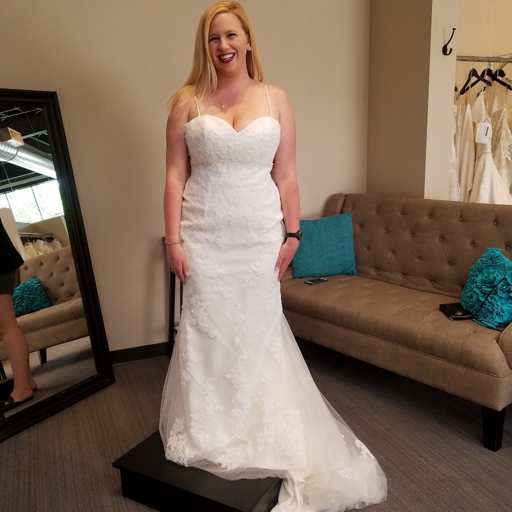 Mermaid / Fit & Flare Wedding Dress